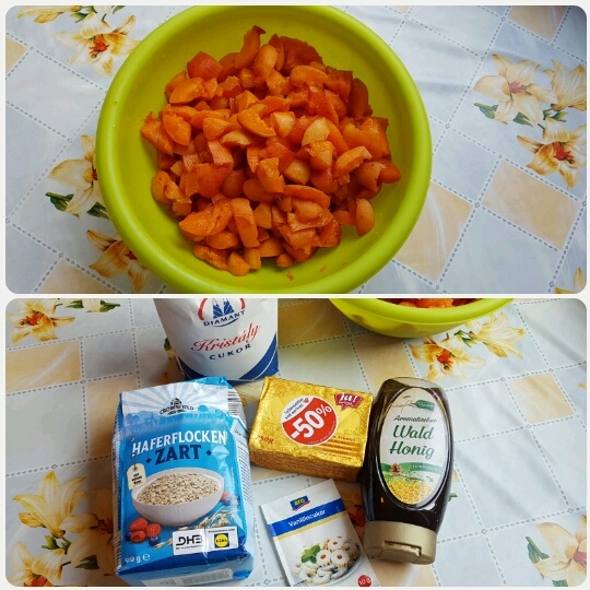 Marhuľové guľky obalené v kokose (fotorecept) - obrázok 2